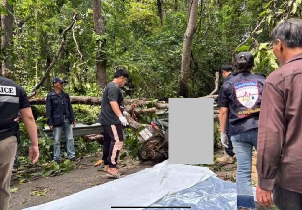 Fallen Tree Crushes & Kills Motorcyclist: Lampang – Chiang Mai News – Thailand News, Travel & Forum