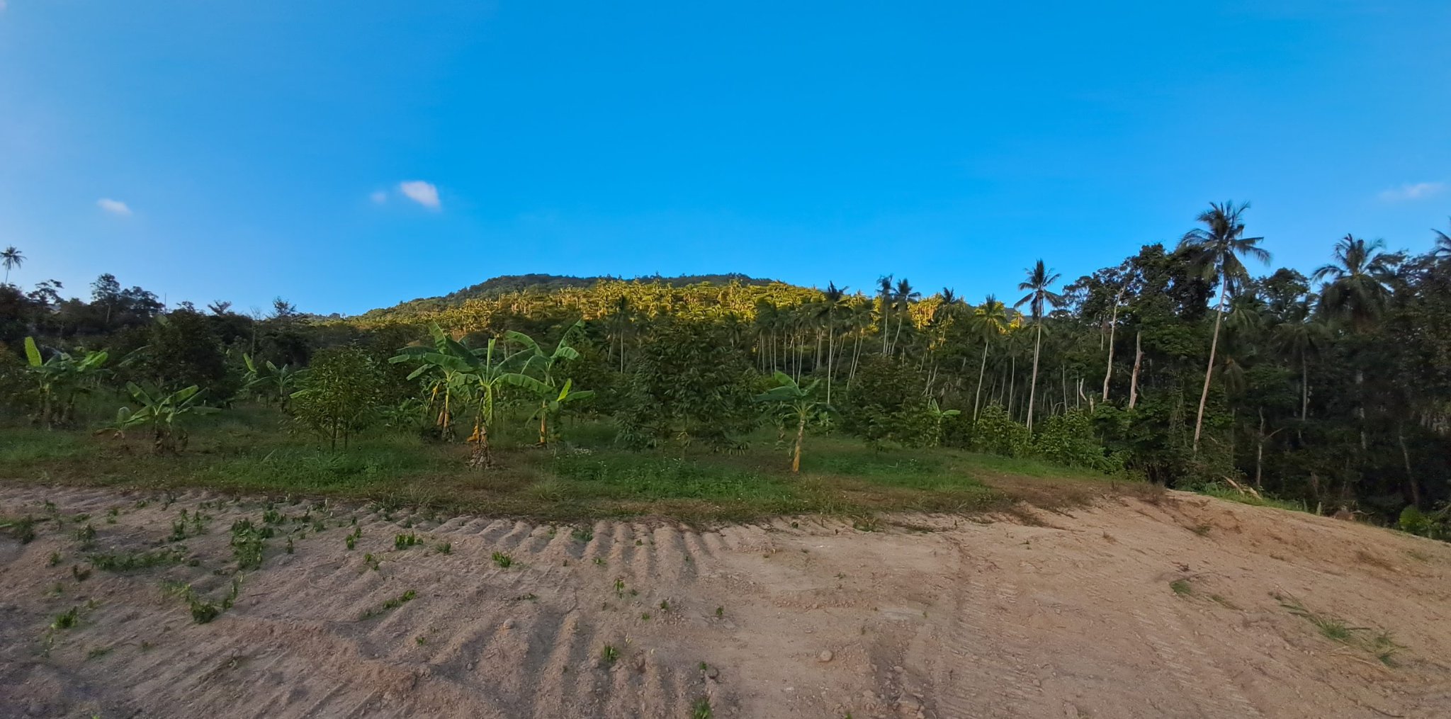 Villas avec piscine privée et terrains à vendre à Lamai 

Prix : 11,500,000 THB…