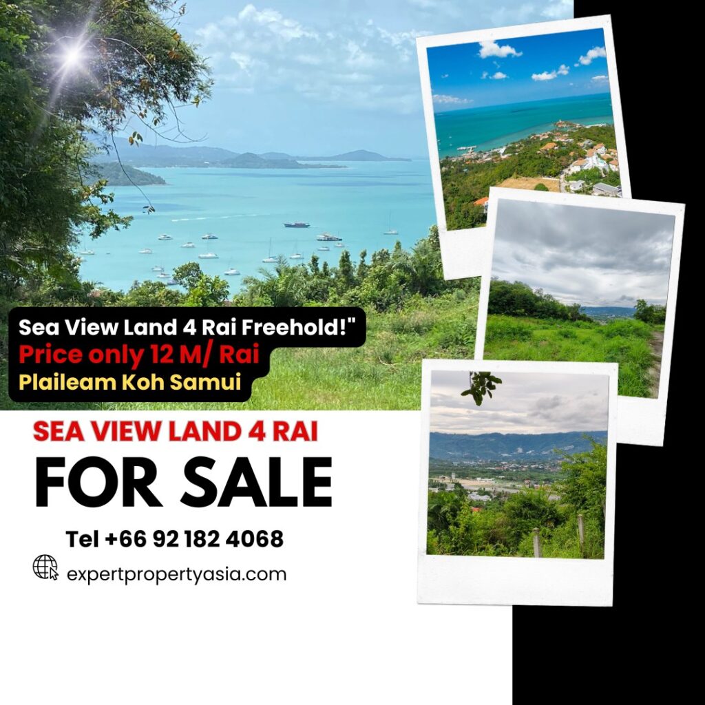 “𝐄𝐗𝐏𝐄𝐑𝐓 𝐏𝐑𝐎𝐏𝐄𝐑𝐓𝐘 𝐀𝐒𝐈𝐀” is delighted to present you  
 Prime Seaview Land for Sale – A Rare Gem in Plai Leam!
 Location: Bo Phut, Koh Samui, Surat Thani
 Land Size: 4 Rai (6,212 sqm)
 Sale Price: ฿12,…