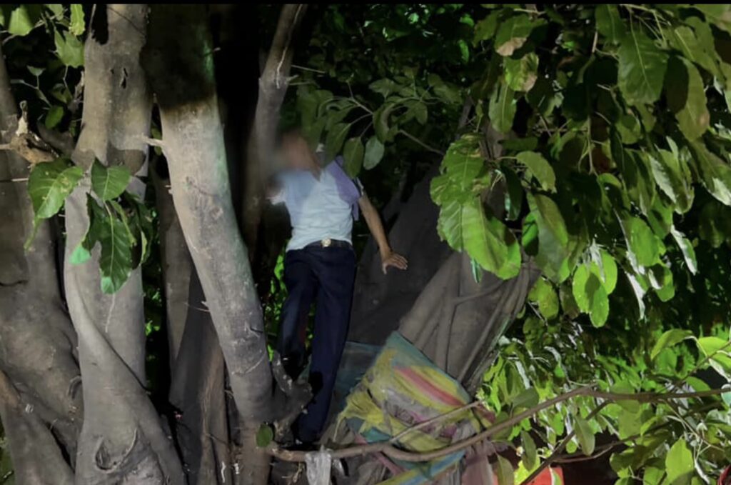 Chinese Tourist Talked Down After Climbing Tree in Distressed State in Pattaya – Pattaya News – Thailand News, Travel & Forum